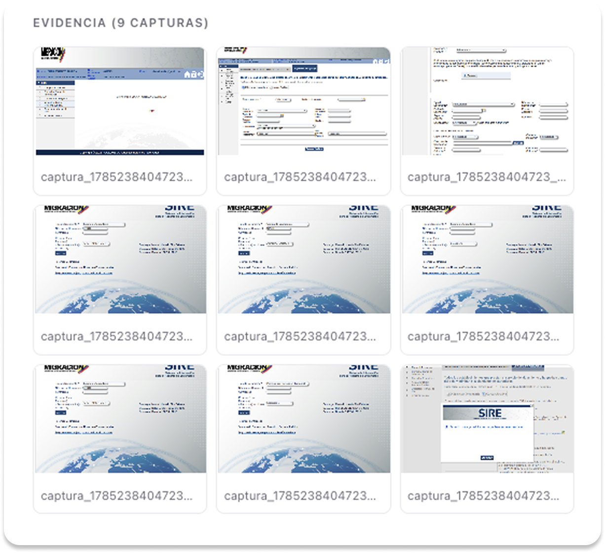 Evidencias de la carga automática en el portal SIRE
